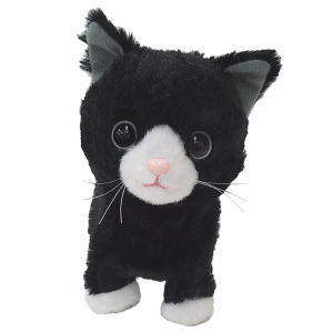 ウォーキングスイートキティ　ハチワレ